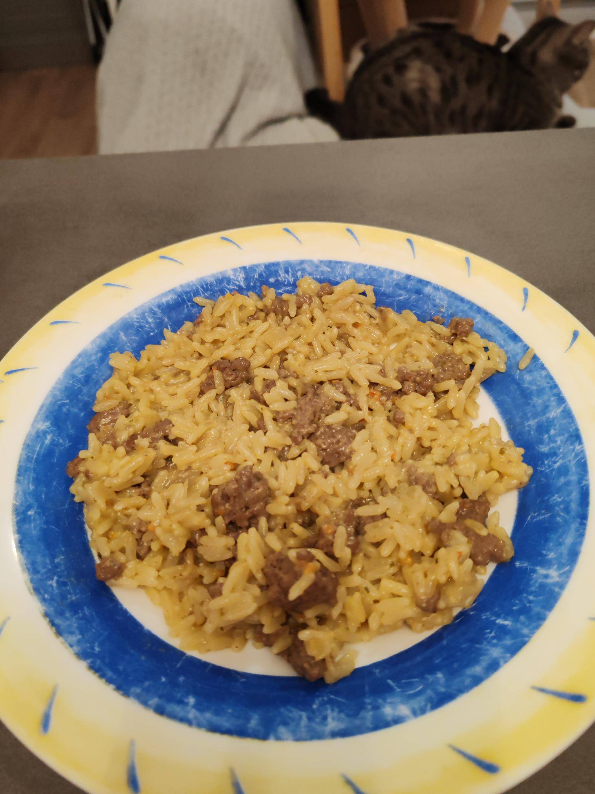 Riz au curry et steak haché - Recepten Cookeo 9in1 | Moulinex