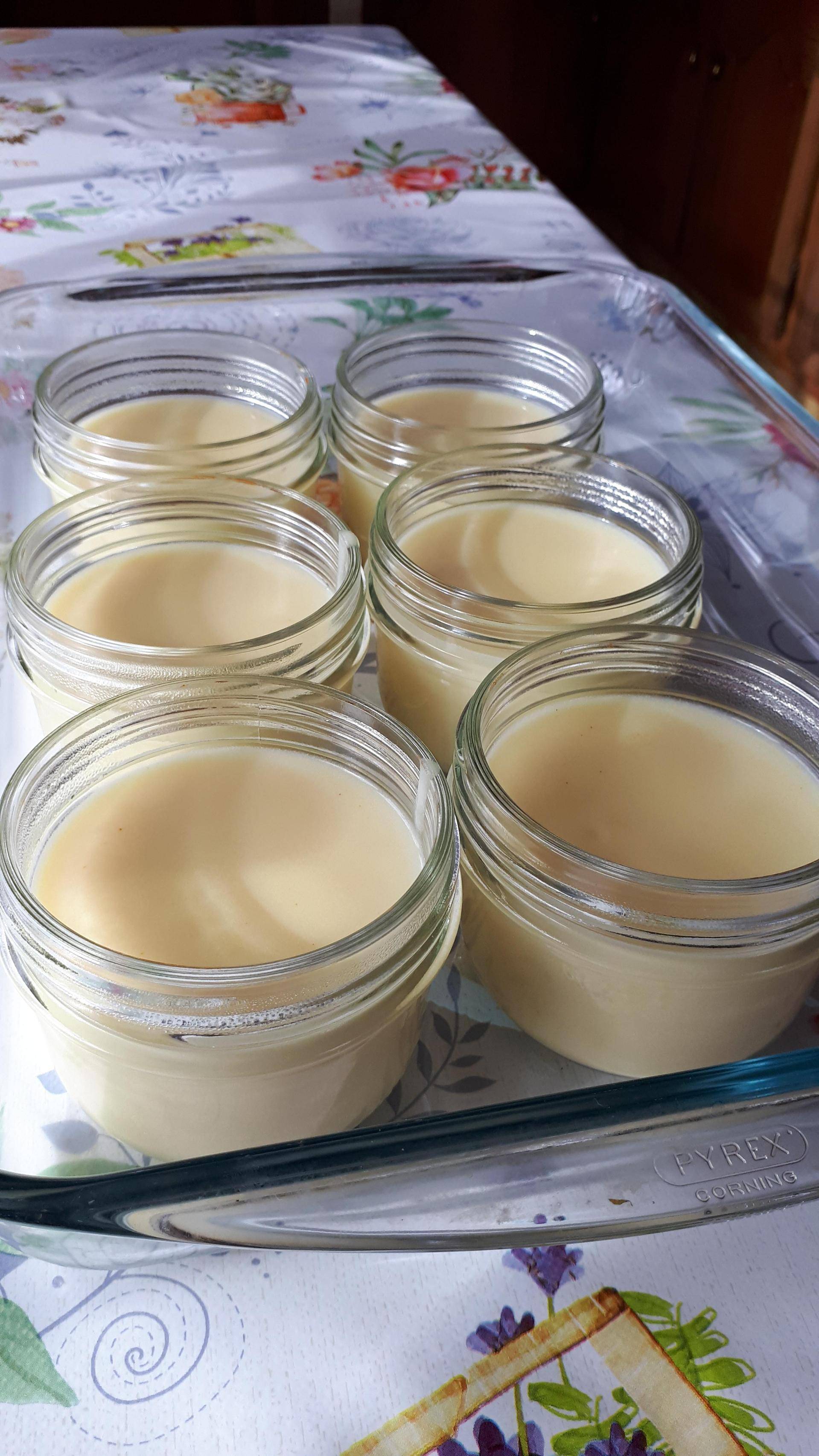 Crème dessert citron sans oeuf - Recepten Companion | Moulinex