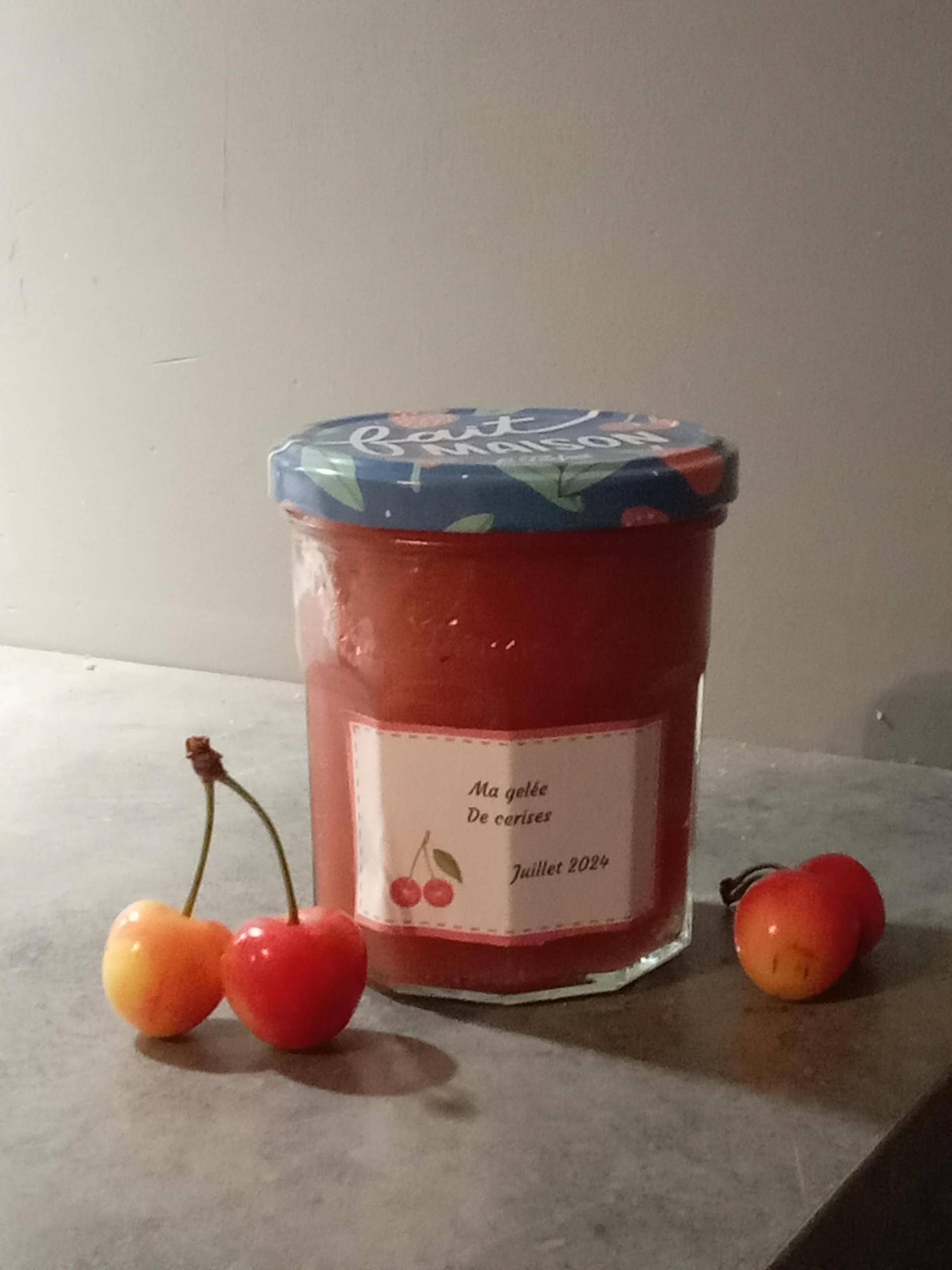 Ma gelée - Recette Companion Connect XL | Moulinex