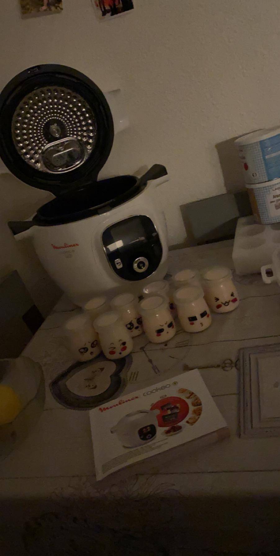 Yaourt maison Françoise ou vanille - Recepten Cookeo | Moulinex