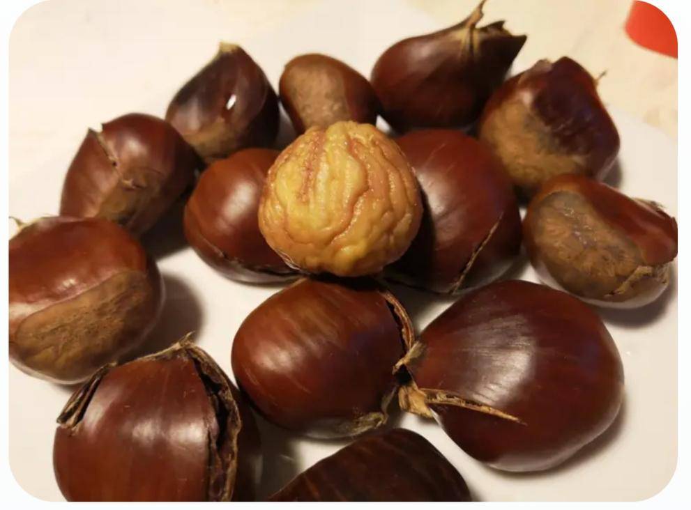 Chataîgnes - Recepten Companion XL | Moulinex