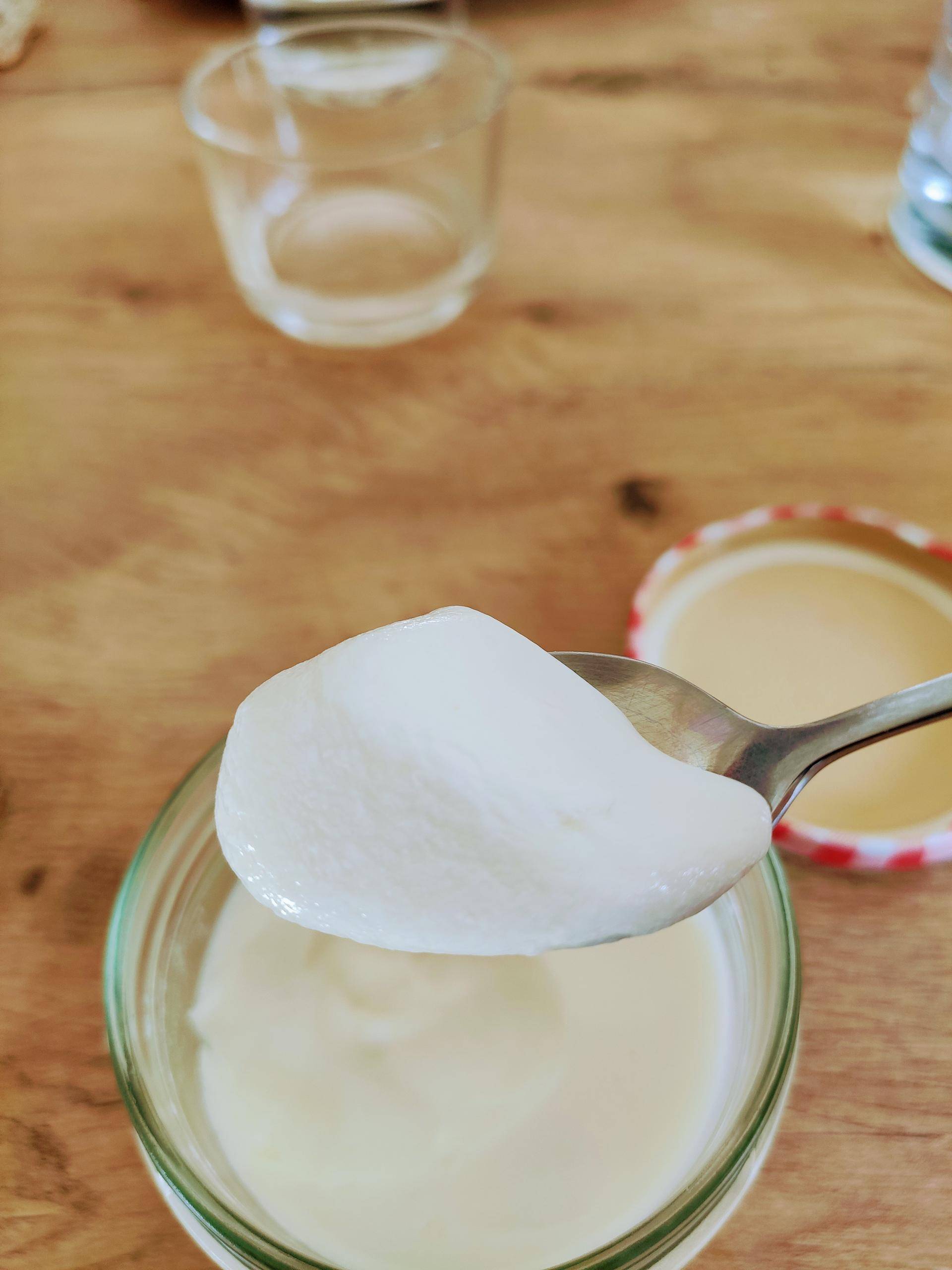 Yaourts faciles et pas liquides - Recette Companion Connect XL | Moulinex