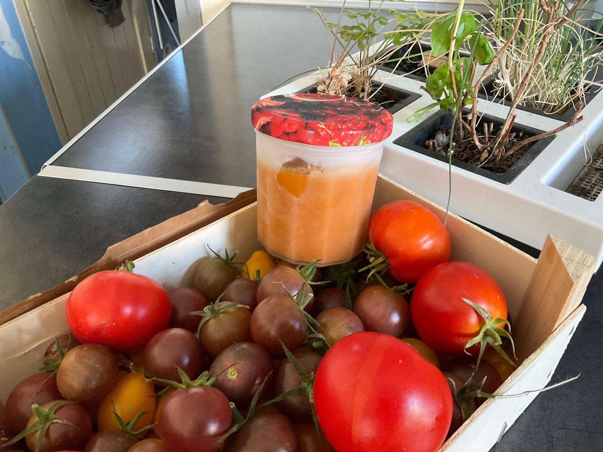 Coulis de tomates - Recepten Companion Connect XL | Moulinex