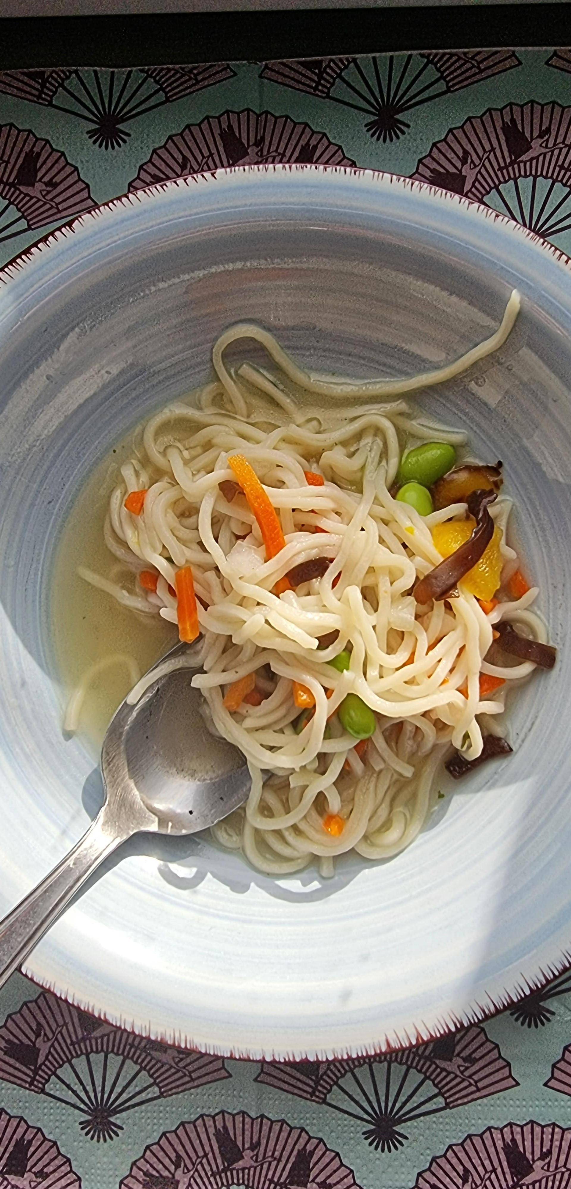 Bouillon à l' Asiatique - Recette Companion Connect XL | Moulinex