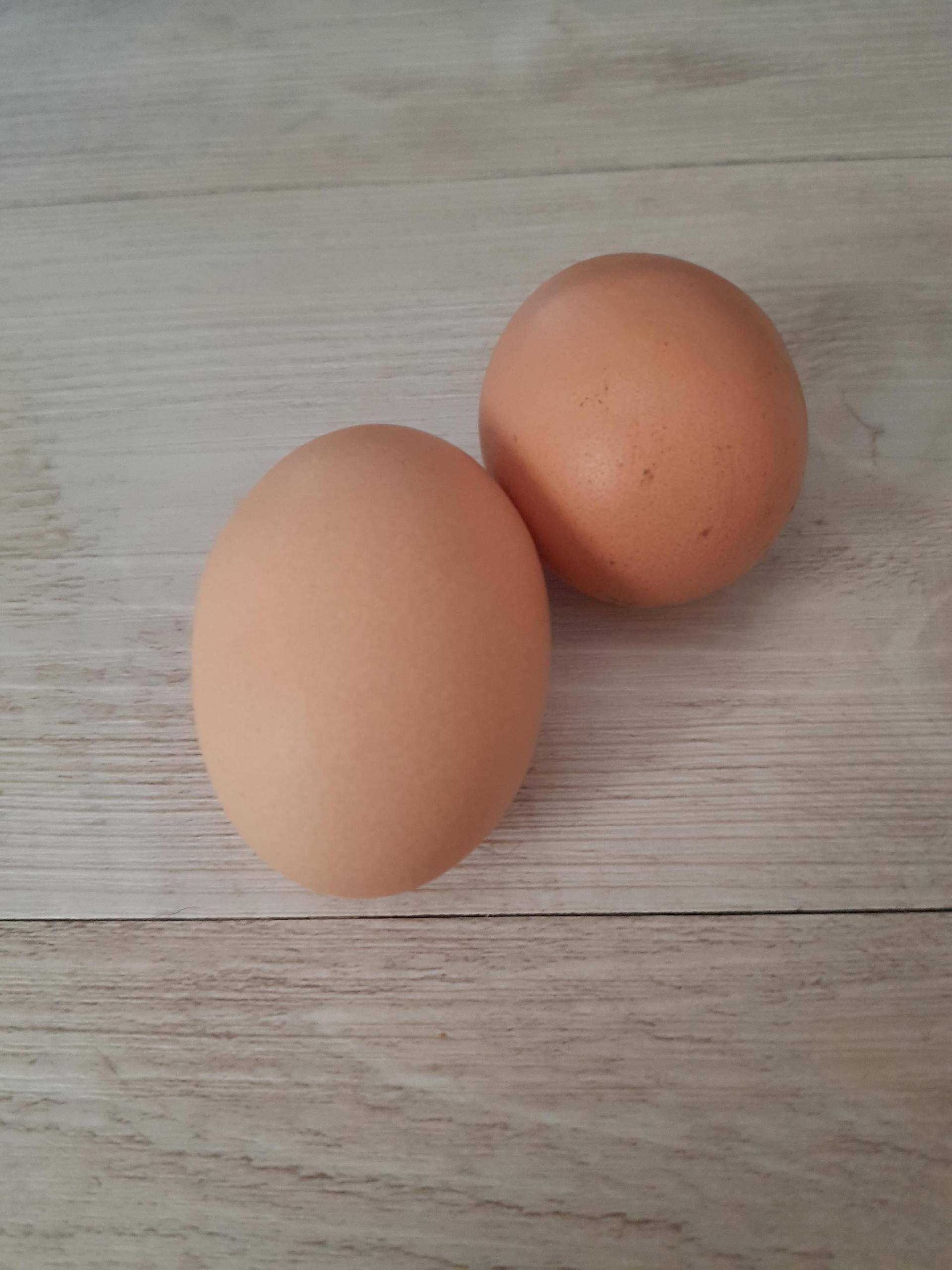 Oeufs durs - Recepten Cookeo | Moulinex